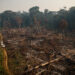 An area of felled and burned trees seen in a rural part of the municipality of Amazonas, Brazil. (Amazônia Real from Manaus AM, Brasil, CC BY 2.0, via Wikimedia Commons)