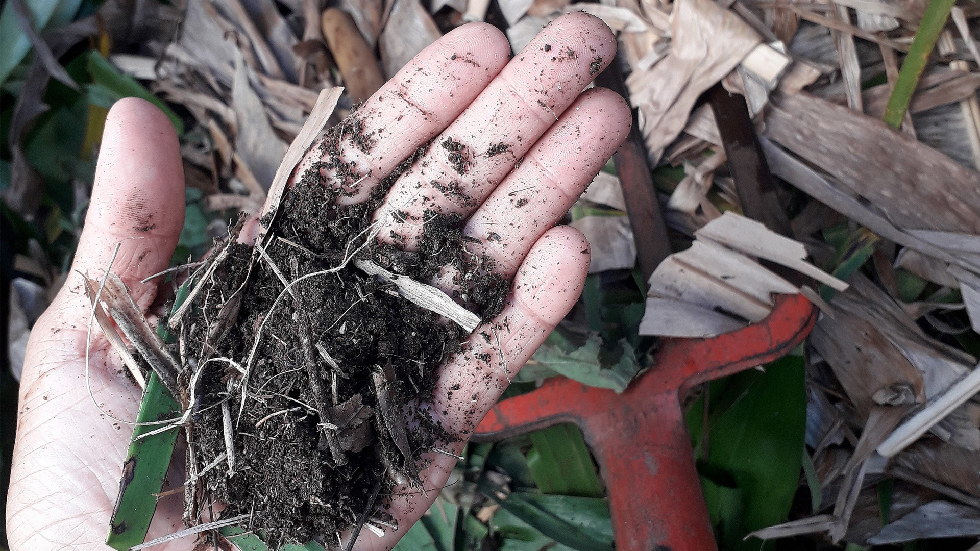 A simple way to prevent heaps of methane pollution composting The