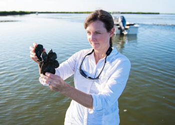 Kelly Kibler, an associate professor in UCF’s Department of Civil, Environmental and Construction Engineering, is leading the oyster reef work for UCF. (UCF photo)
