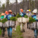 Seedling replanting in the Lolo National Forest. (National Forest Foundation, Dave Gardner Creative, CC BY 2.0)