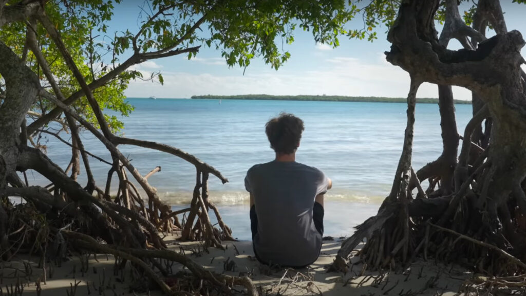 A screenshot from the video "Will Charouhis - A Million Mangroves"