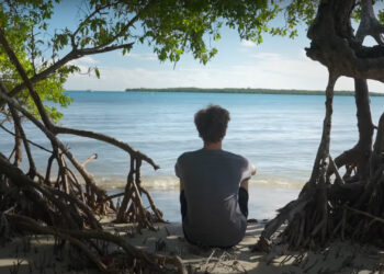 A screenshot from the video "Will Charouhis - A Million Mangroves"