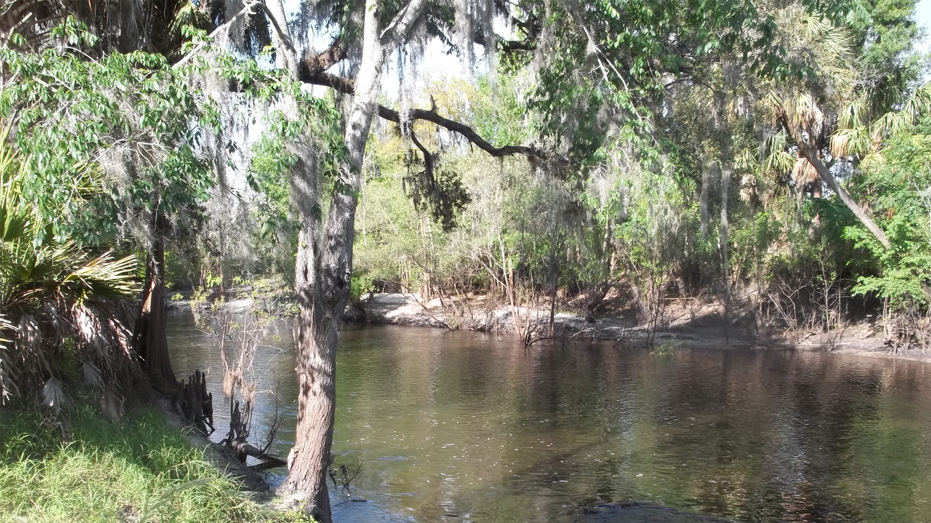 State protects environmentally sensitive lands; Orlando among best