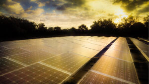 A solar array in Broward County (Paul Krashefski/U.S. Department of Energy, via Wikimedia Commons)