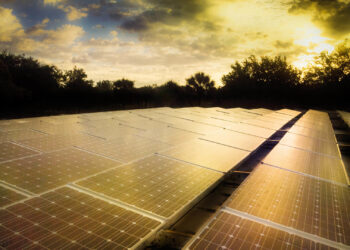 A solar array in Broward County (Paul Krashefski/U.S. Department of Energy, via Wikimedia Commons)