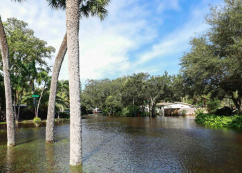 Tropical Storm Eta floods neighborhoods in Fort Lauderdale. (iStock image)