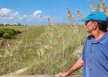 Alan Robertson looks out over the dunes on Tybee Island, Georgia. He is a consultant who helped the city acquire grant money to repair the dunes. (Grist/Emily Jones)