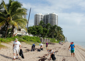 People picking up trash on Fort Lauderdale Beach during the annual Ocean Conservancy International Coastal Cleanup. (iStock image)