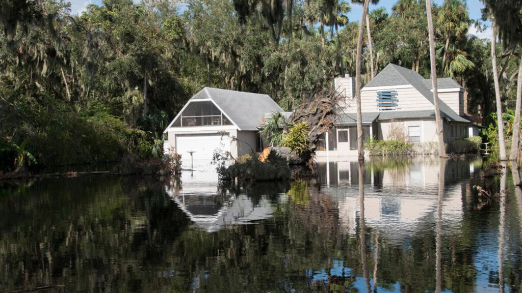 Flooded homes in Deltona (Patsy Lynch/FEMA, via Wikimedia Commons)