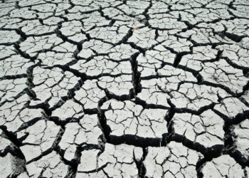 Dry land (iStock image)