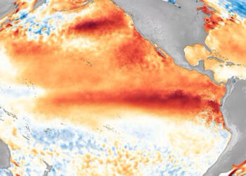 Warm water along the equator off South America signals an El Niño, like this one in 2016. (NOAA image)