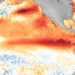 Warm water along the equator off South America signals an El Niño, like this one in 2016. (NOAA image)