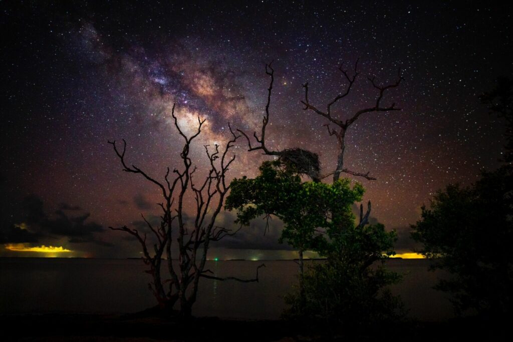 Everglades National Park after dark. (Anthony Sleiman/National Park Service)