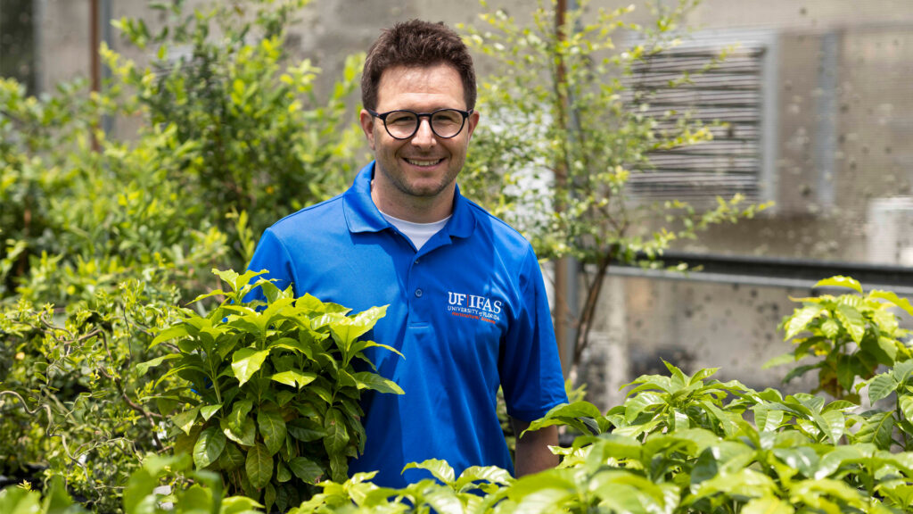 University of Florida researcher Felipe Ferrao in a Gainesville campus greenhouse with young coffee plants (in foreground). (Photo by Cat Wofford, UF/IFAS)