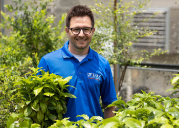 University of Florida researcher Felipe Ferrao in a Gainesville campus greenhouse with young coffee plants (in foreground). (Photo by Cat Wofford, UF/IFAS)