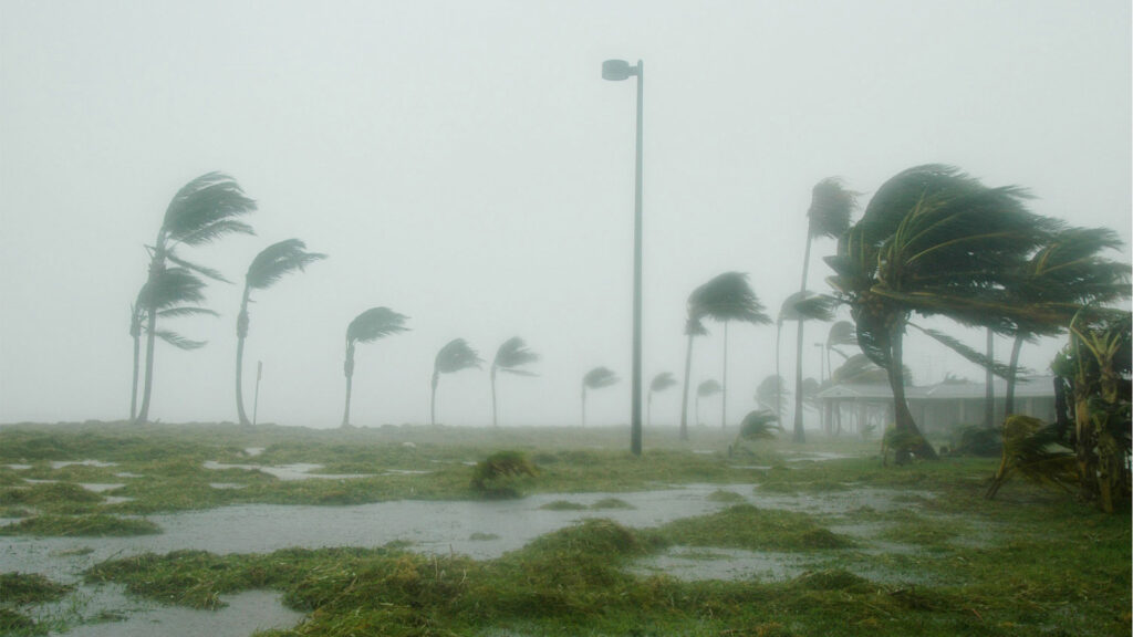 Hurricane Dennis batters palm trees and floods parts of Naval Air Station Key West’s Truman Annex. (U.S. Navy photo by Jim Brooks, via Wikimedia Commons)