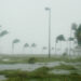 Hurricane Dennis batters palm trees and floods parts of Naval Air Station Key West’s Truman Annex. (U.S. Navy photo by Jim Brooks, via Wikimedia Commons)
