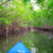 A kayak travels past mangroves in the Jupiter Inlet Outstanding Natural Area. (mypubliclands, CC BY 2.0, via Wikimedia Commons)