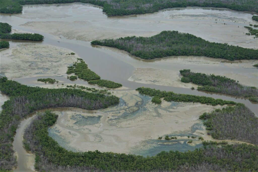 Marjory Stoneman Douglas Wilderness in Everglades National Park. (Denise Diaz/National Park Service)