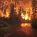 A wildfire in the Bitterroot National Forest in Montana (John McColgan – Edited by Fir0002, Public domain, via Wikimedia Commons)