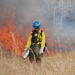 A prescribed burn at Florida Panther National Wildlife Refuge (National Archives at College Park, Public domain, via Wikimedia Commons)