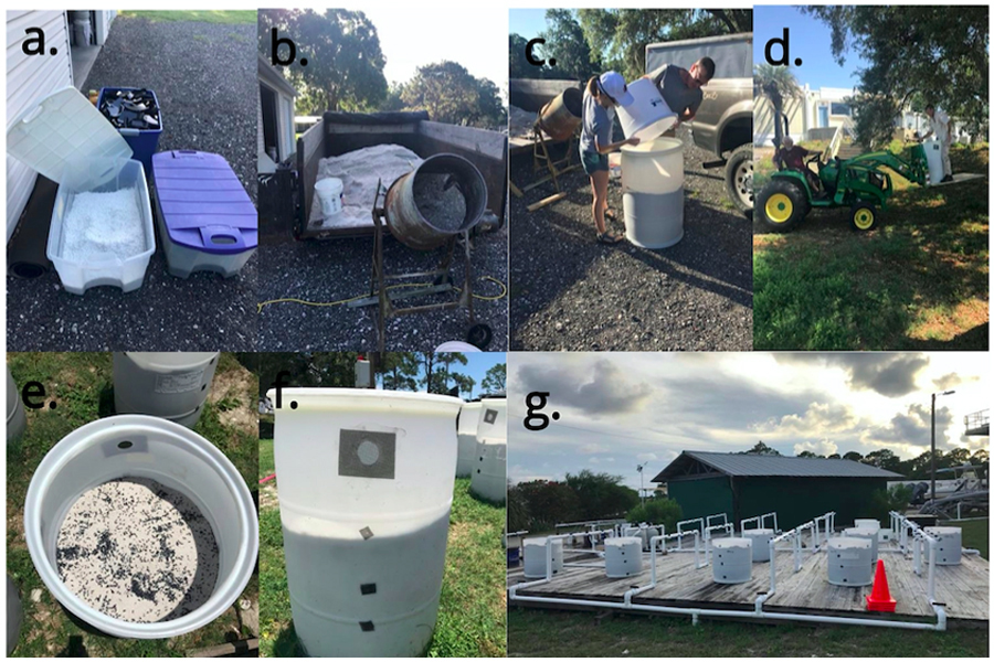 An overview of the experimental process showing: a) White and black microplastic, b) sand and a mixing tool, c) pouring sand and microplastics into a container, d) transporting containers at the FSU Coastal and Marine Laboratory, e) top view of container, f) another view showing a mesh screen over holes, and g) the experiment site. (Courtesy of Mariana Fuentes)