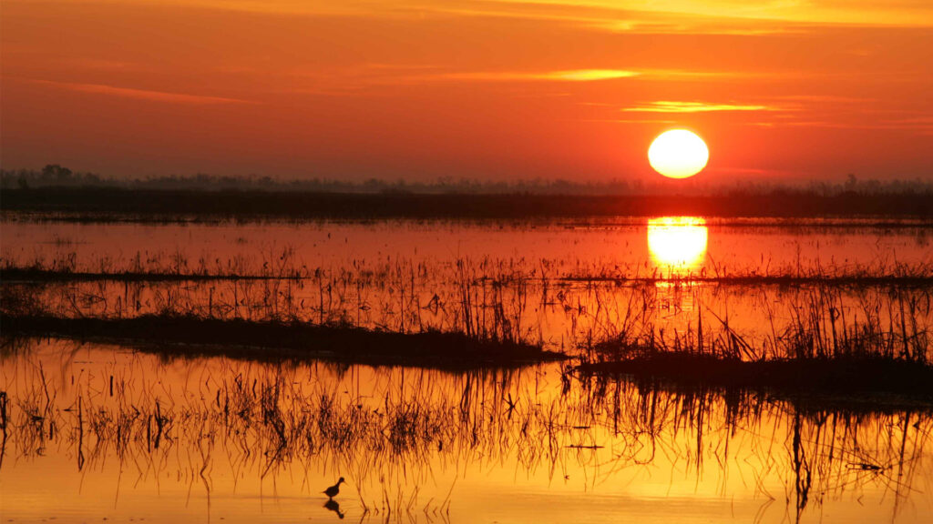 The sun rises over wetlands (Steve Hillebrand, U.S. Fish and Wildlife Service, via Wikimedia Commons)