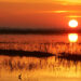 The sun rises over wetlands (Steve Hillebrand, U.S. Fish and Wildlife Service, via Wikimedia Commons)