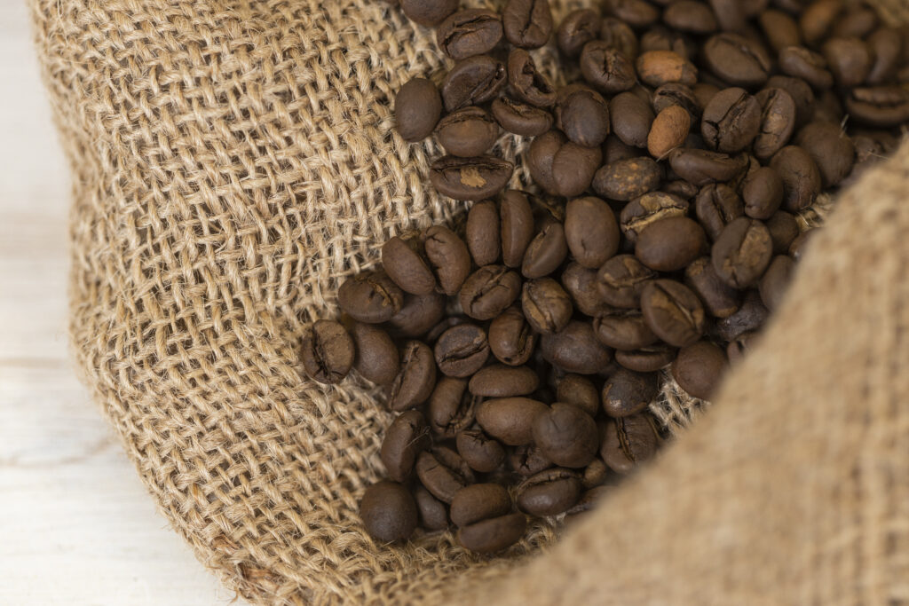 Roasted robusta coffee beans (Photo by Cat Wofford, UF/IFAS)