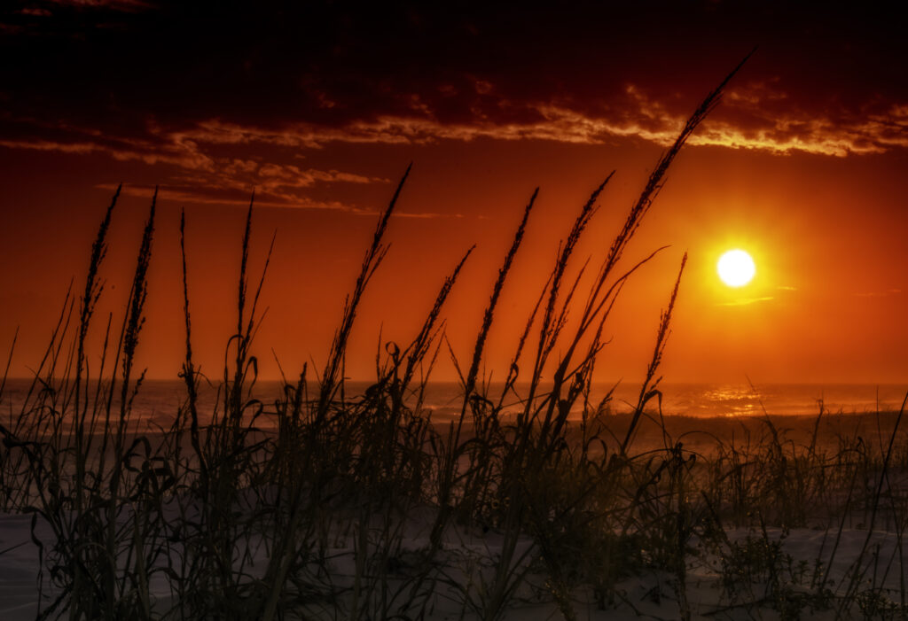 A sunset over dunes in Florida (Charles Patrick Ewing, CC BY 2.0, via Wikimedia Commons)