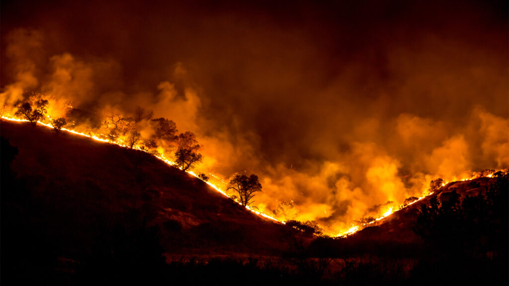 A tree ridge in flames during the 2018 Woolsey Fire in California (Photo courtesy of Peter Buschmann, U.S. Forest Service with additional editing by W.carter, via Wikimedia Commons)