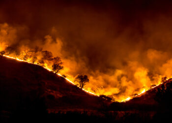 A tree ridge in flames during the 2018 Woolsey Fire in California (Photo courtesy of Peter Buschmann, U.S. Forest Service with additional editing by W.carter, via Wikimedia Commons)
