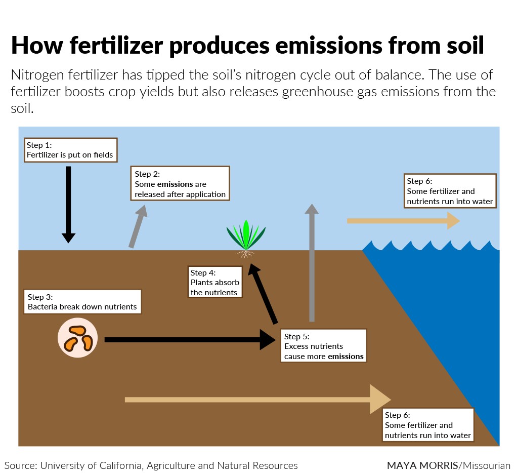 How fertilizer produces emissions from the soil (Maya Morris/Missourian)
