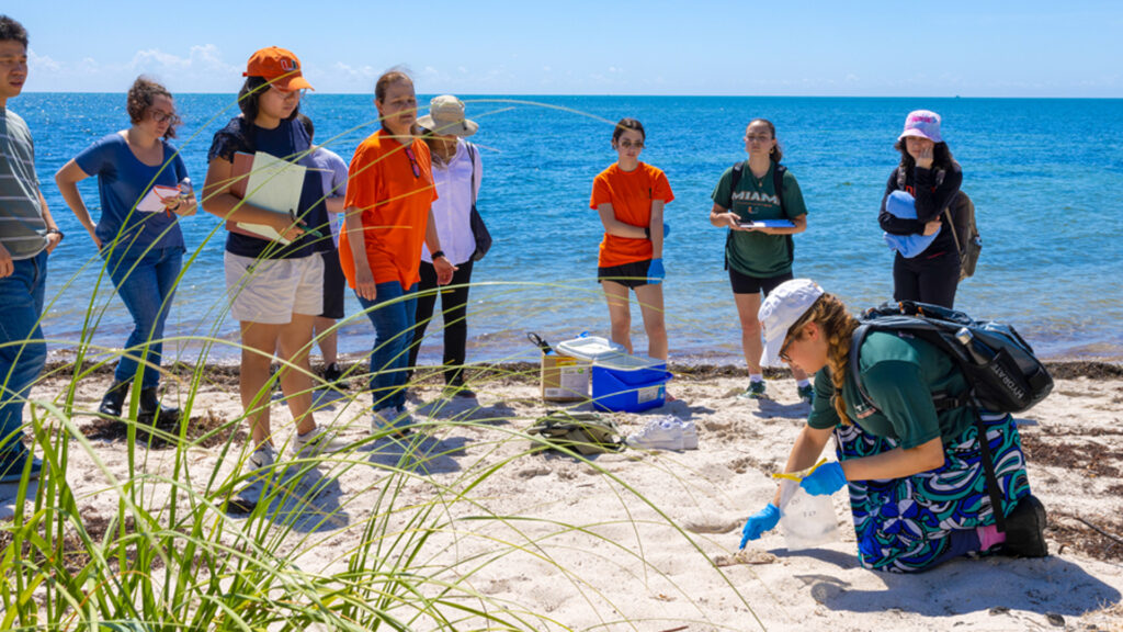 Rivka Reiner, a junior majoring in environmental engineering at the University of Miami, takes a sediment sample at Crandon Park Beach on June 5. (Photo: Joshua Prezant/University of Miami)