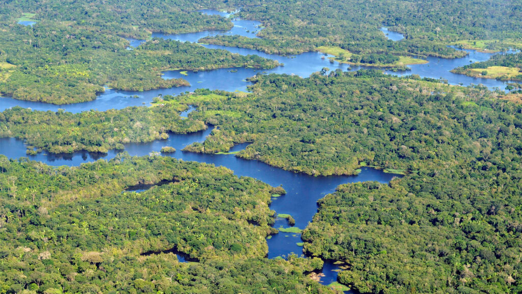 An aerial view of the Amazon rainforest (Neil Palmer/CIAT, CC BY-SA 2.0, via Wikimedia Commons)