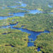 An aerial view of the Amazon rainforest (Neil Palmer/CIAT, CC BY-SA 2.0, via Wikimedia Commons)