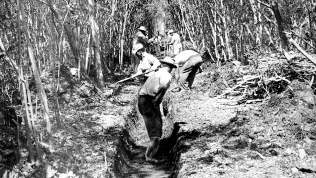Workers constructing a mosquito control ditch in Dade County. (State Archives of Florida)