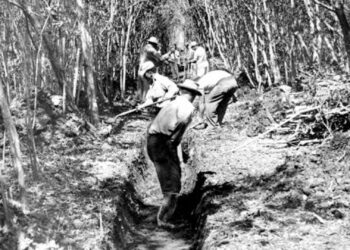 Workers constructing a mosquito control ditch in Dade County. (State Archives of Florida)
