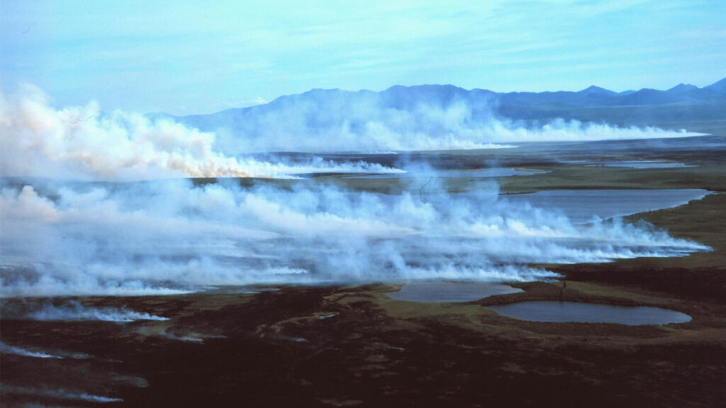 White smoke rising from the tundra in front of the Baird Mountains. Layers of peat that build up in the soil can be fuel for wildfires. (Western Arctic National Parklands, CC BY 2.0, via Wikimedia Commons)