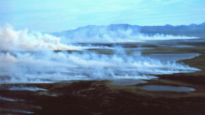 White smoke rising from the tundra in front of the Baird Mountains. Layers of peat that build up in the soil can be fuel for wildfires. (Western Arctic National Parklands, CC BY 2.0, via Wikimedia Commons)