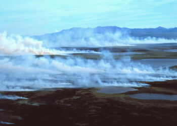 White smoke rising from the tundra in front of the Baird Mountains. Layers of peat that build up in the soil can be fuel for wildfires. (Western Arctic National Parklands, CC BY 2.0, via Wikimedia Commons)