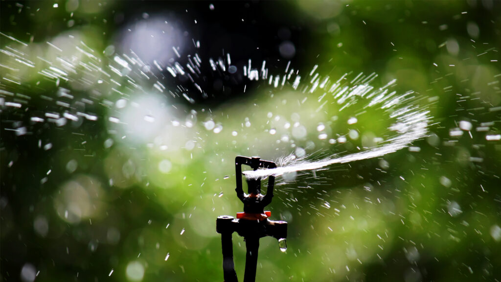 Water comes out of a sprinkler head (Anton, CC BY-SA 4.0, via Wikimedia Commons)