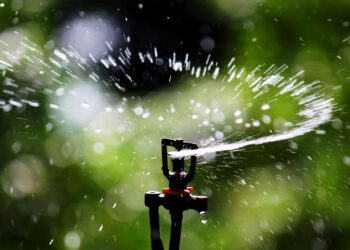 Water comes out of a sprinkler head (Anton, CC BY-SA 4.0, via Wikimedia Commons)