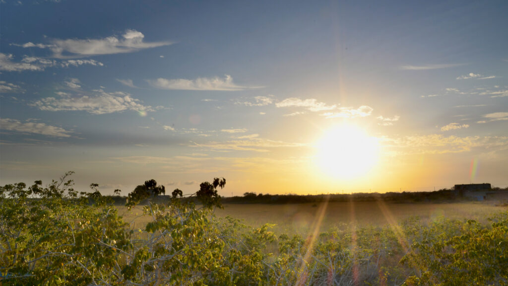 The sun sets over Everglades National Park. (Sebastian Carlosena, CC BY-SA 3.0, via Wikimedia Commons)