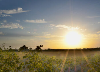 The sun sets over Everglades National Park. (Sebastian Carlosena, CC BY-SA 3.0, via Wikimedia Commons)