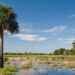 Florida landowners in the Northern Everglades use conservation easements as a tool to restore their wetlands. (U.S. Department of Agriculture, CC BY 2.0, via Wikimedia Commons)