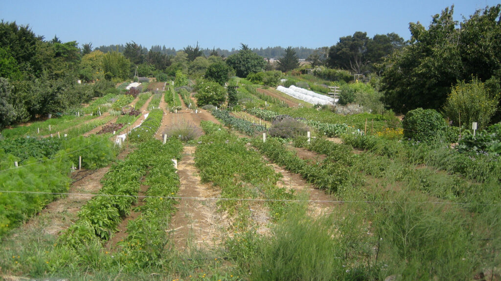 An organic farm (David Silver, CC BY-SA 2.0, via Wikimedia Commons)