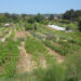 An organic farm (David Silver, CC BY-SA 2.0, via Wikimedia Commons)