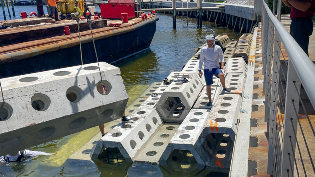 Associate professor of engineering Landolf Rhode-Barbarigos waits to help position another unit of SEAHIVE, as part of the largest installation of the units yet happening at Wahoo Bay. (Photo: Janette Neuwahl Tannen/University of Miami. Video: Courtesy of Wahoo Bay)