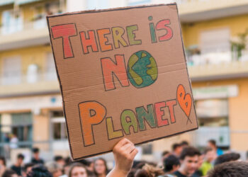 A sign at a Fridays for Future climate march (Tommi Boom, CC BY-SA 2.0, via Flickr)